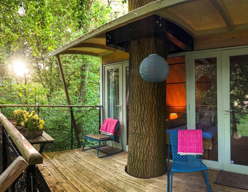 Boomhut zon door bomen