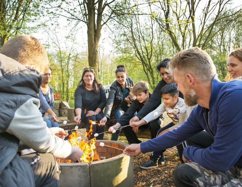 Cooking and Barbecuing