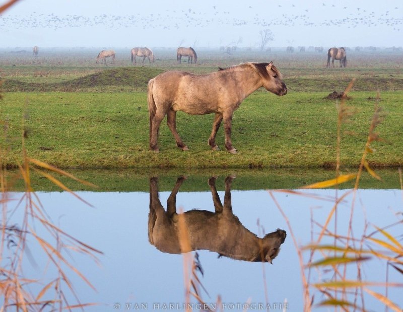 Lelystad Nature Park